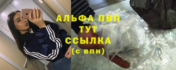 PSILOCYBIN Балахна