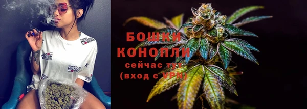 PSILOCYBIN Балахна
