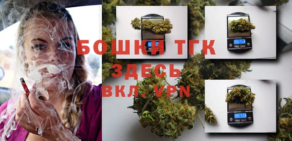PSILOCYBIN Балахна
