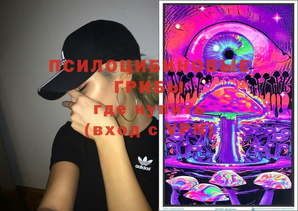 PSILOCYBIN Балахна