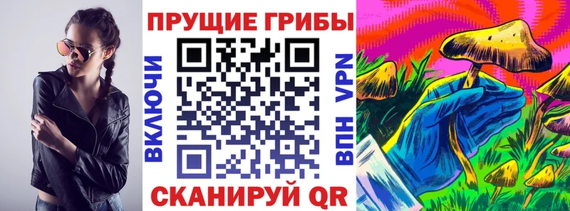 darknet состав  Кущёвская  Галлюциногенные грибы прущие грибы  omg ONION 